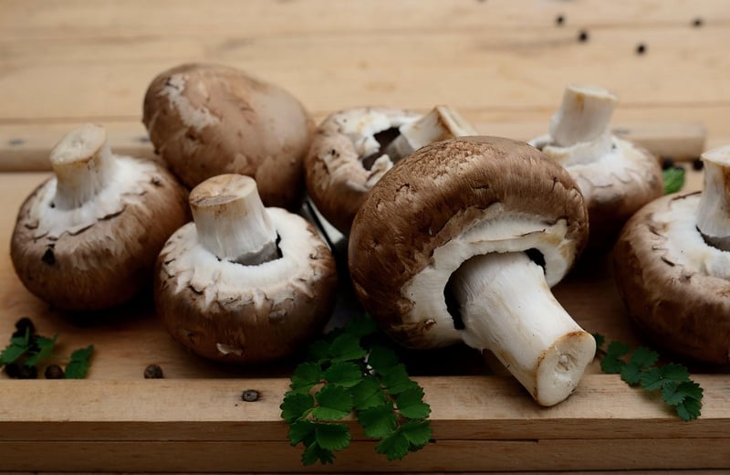 Vegetarian Delights